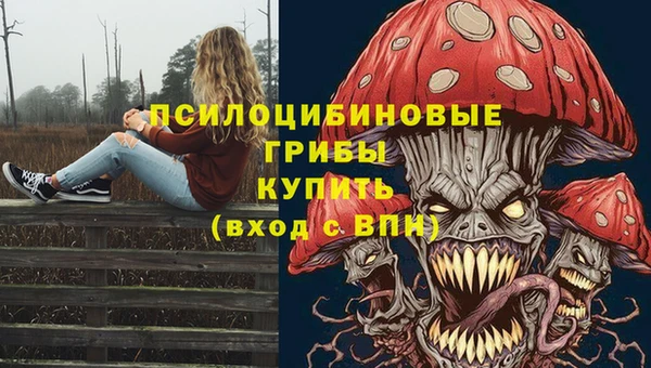 MDMA Аркадак