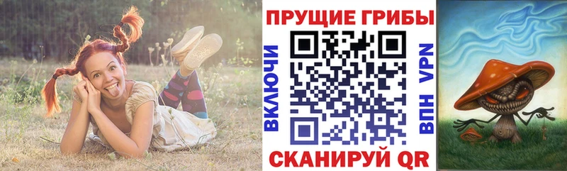 Псилоцибиновые грибы мухоморы  Сорск 